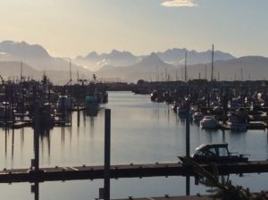 Homer Harbor March 24th 2018