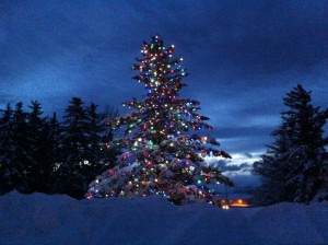 Homer Chamber Christmas Tree