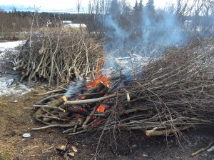 Burning Alders