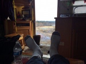 Room with a view