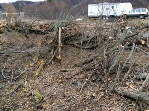 Clearing The Ravine