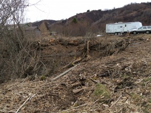 Clearing The Ravine