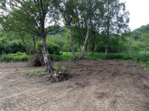 RV Site #2 cleared and graded