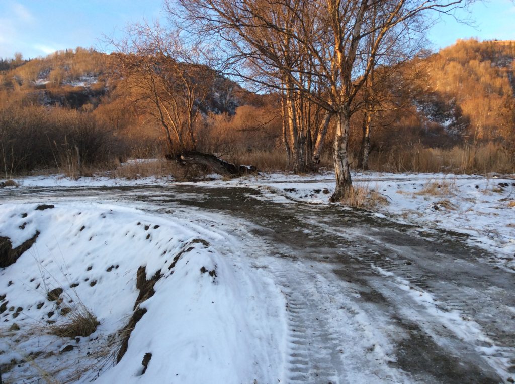 Electrical and Septic for RV Site 2 RV Sites in Homer Alaska