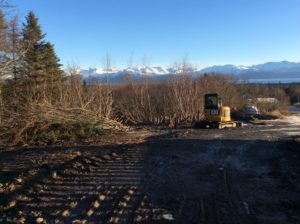 Cutting Alders, Clearing, Grubbing