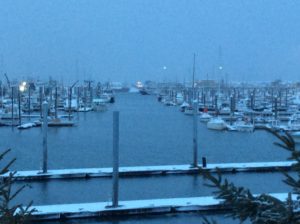 Homer Harbor ice free