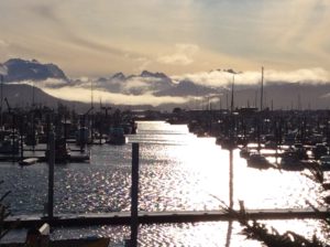 Homer Harbor