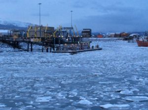 Homer Harbor 3/19/17