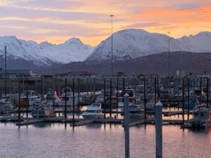 Homer Harbor