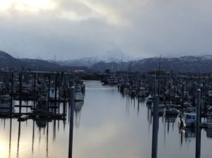 Homer Harbor