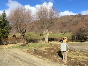 Greening up around here fast!