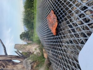 Alder Flame Grilled Salmon
