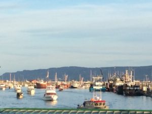 Homer Harbor