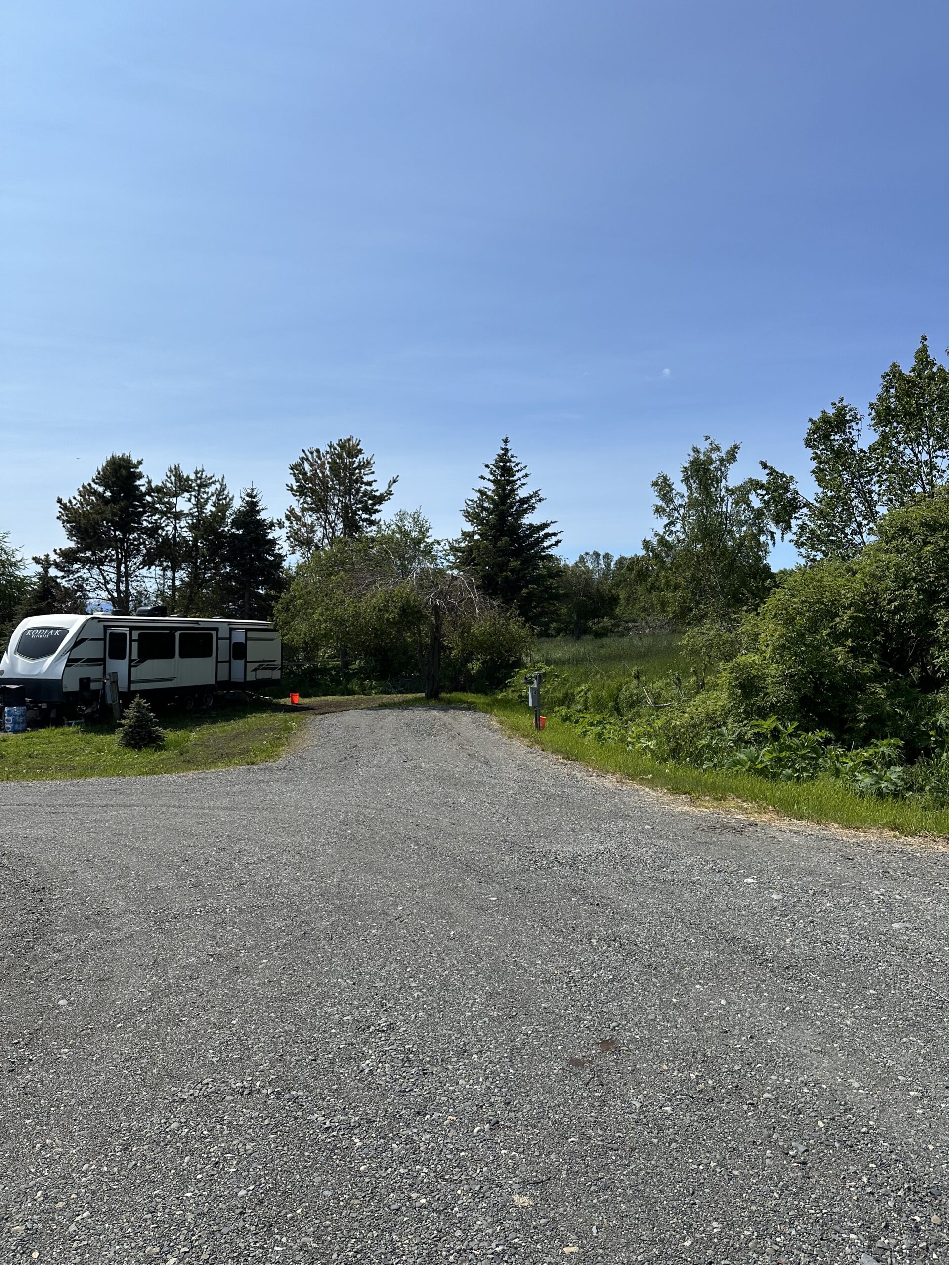 One tree left at RV Site #4