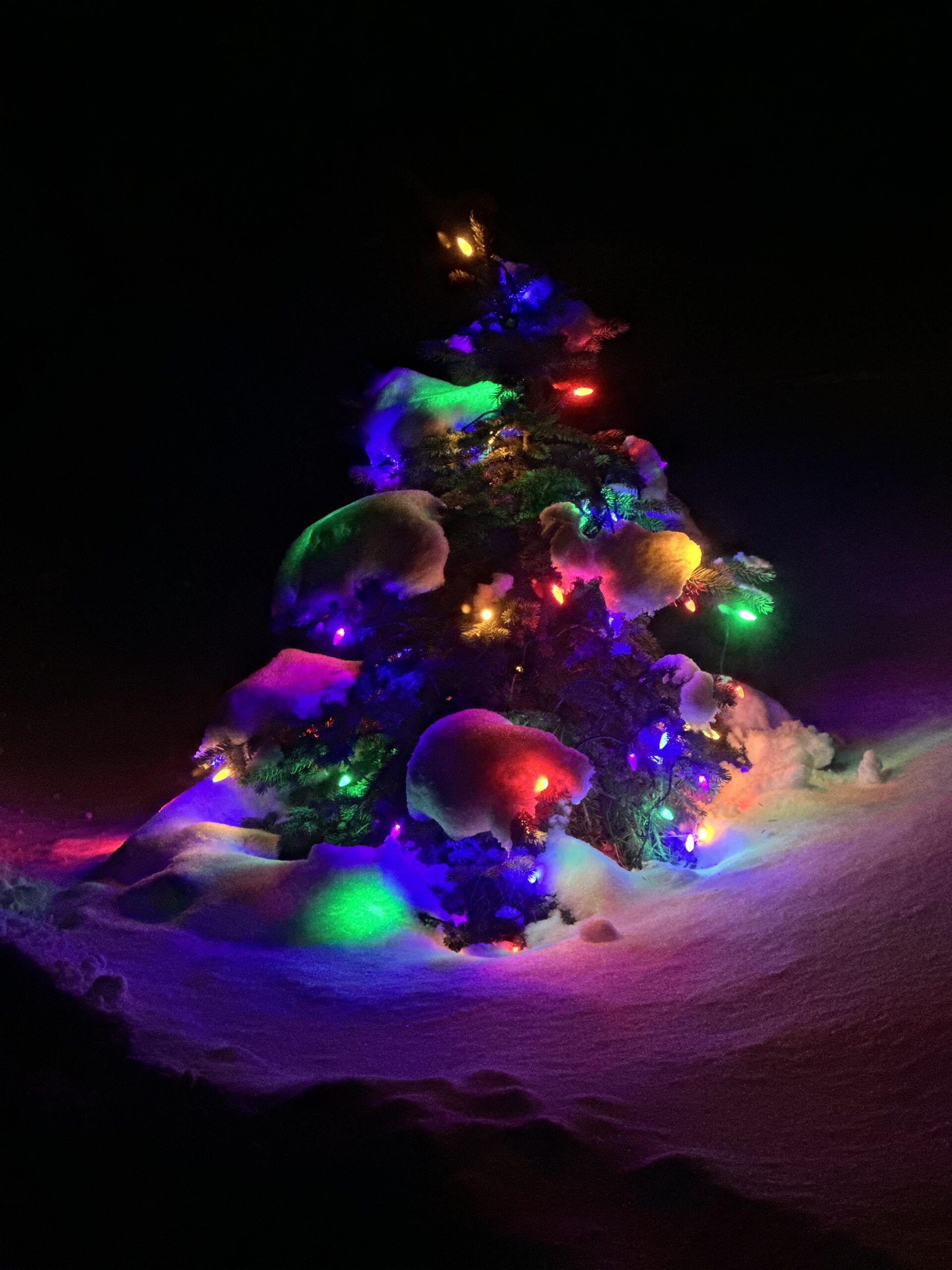 Just really enjoy the little trees….