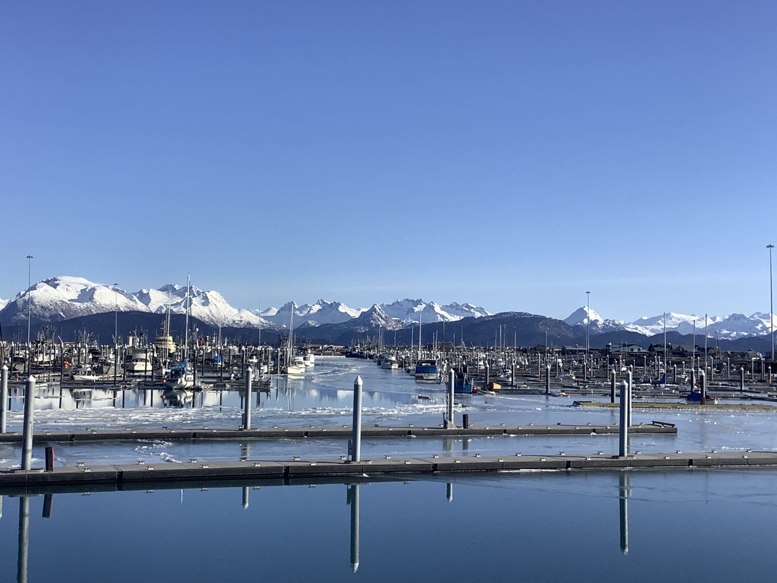 Beautiful winter morning at the Harbor…..