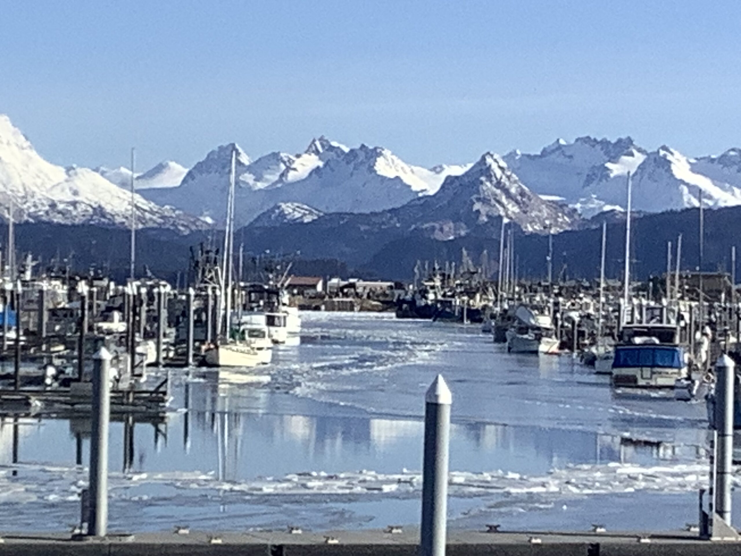 Homer Harbor