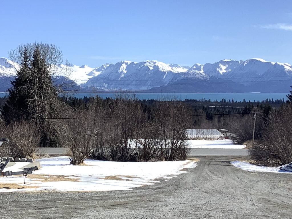 This has to be Spring beautiful crisp………