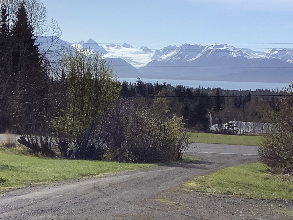 Spring? We will see how it plays out……