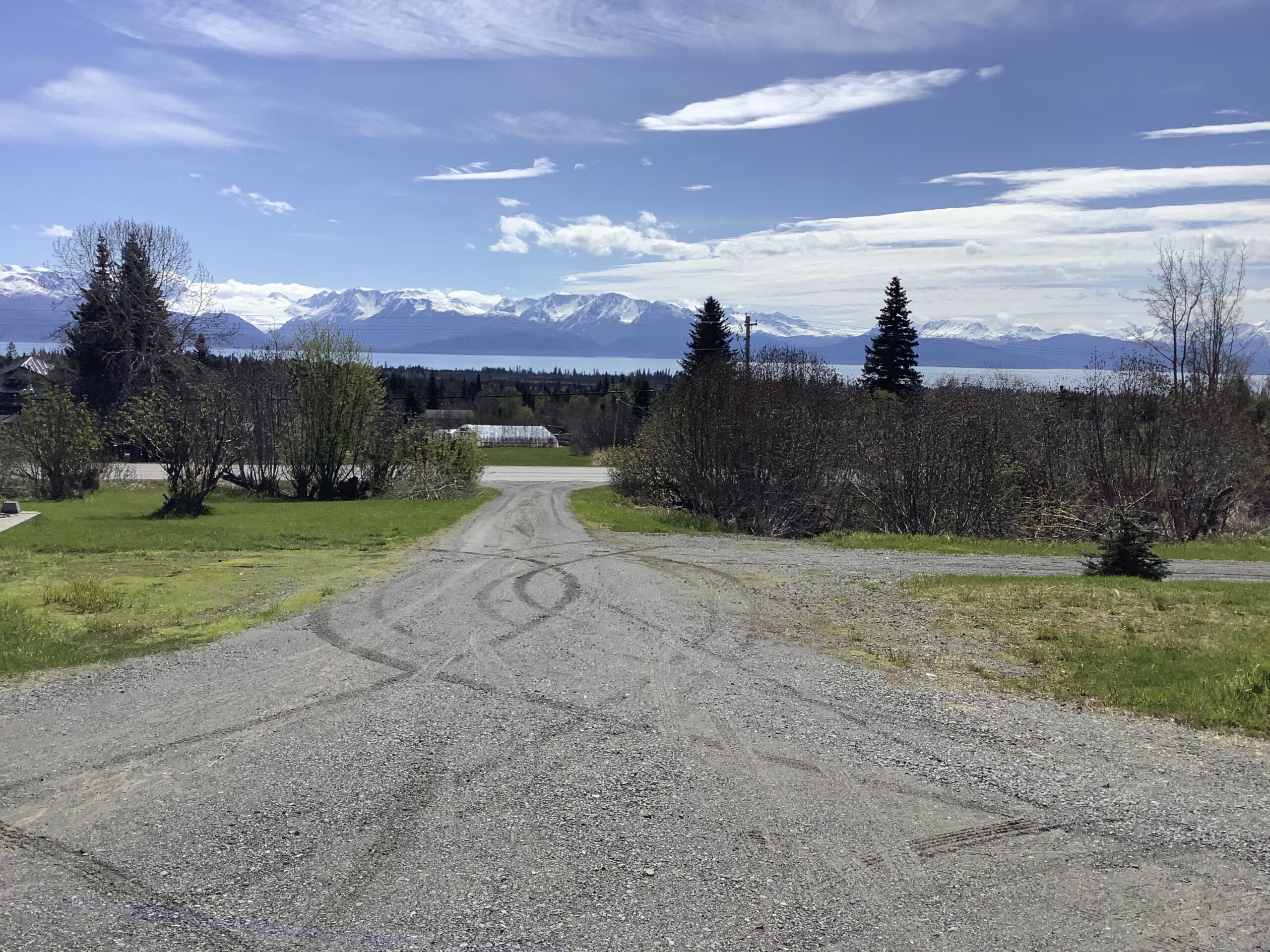 Looking down the driveway